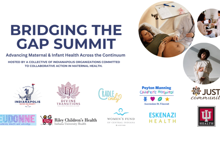 Bridging the Gap Summit · original event image